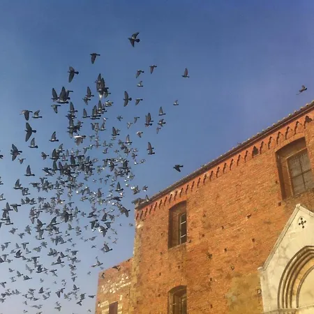 La Di San Francesco Montepulciano
